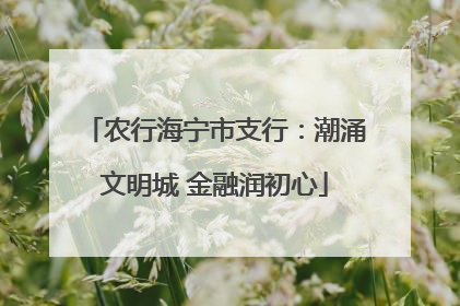 农行海宁市支行：潮涌文明城 金融润初心